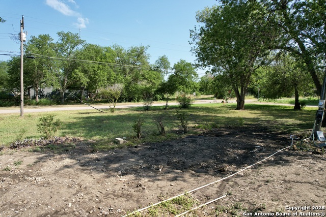 613 Maple Property Photo 8