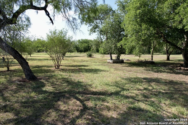 613 Maple Property Photo 9