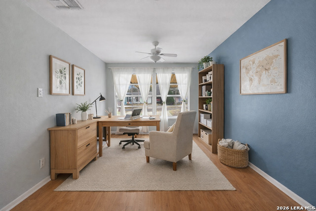 427 Olney Property Photo 18