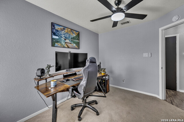 1817 Dusk Dr Property Photo 17
