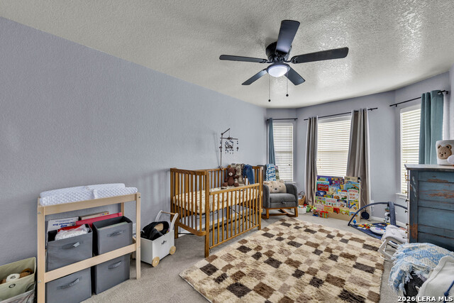 1817 Dusk Dr Property Photo 19