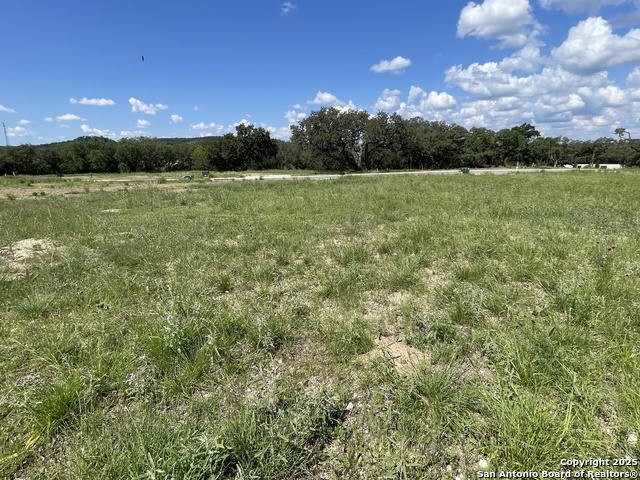 23634 Cliff Line Property Photo 3