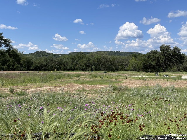 24630 Cliff Line Property Photo 1