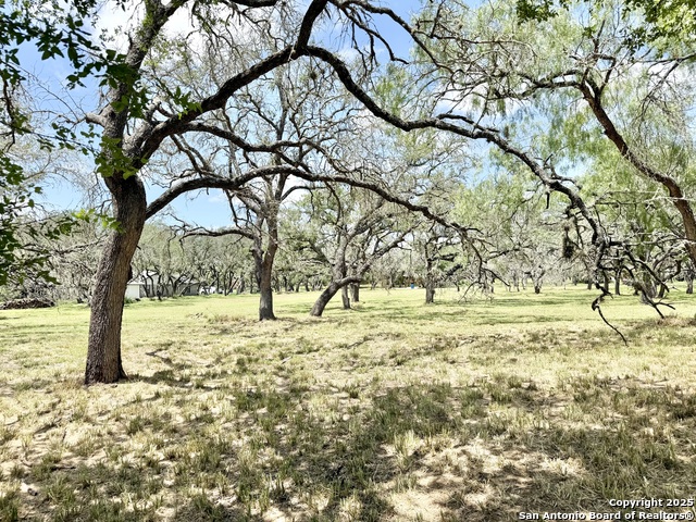Lot 53a Massad Property Photo 5