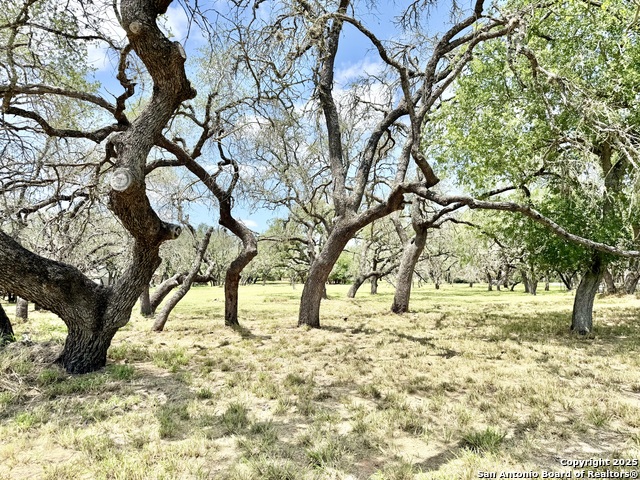 Lot 53a Massad Property Photo 6