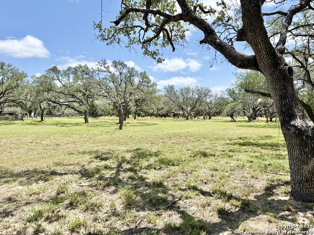 Lot 53a Massad Property Photo 10