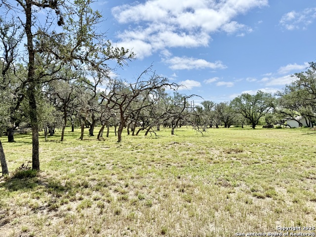 Lot 53a Massad Property Photo 13