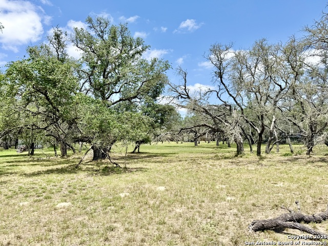 Lot 53a Massad Property Photo 14