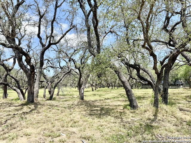 Lot 53a Massad Property Photo 15