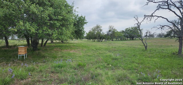 153 Fallow Dr Property Photo 1