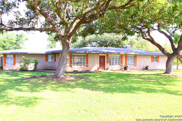 310 Pfeil Property Photo 2