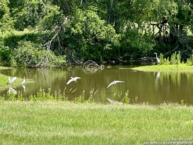 10745 Rosemar Ln Property Photo 30