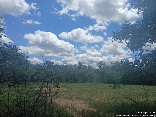 00000 New Sulphur Springs Property Photo 1