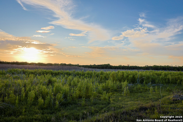 6266 Highway 281 Property Photo 1