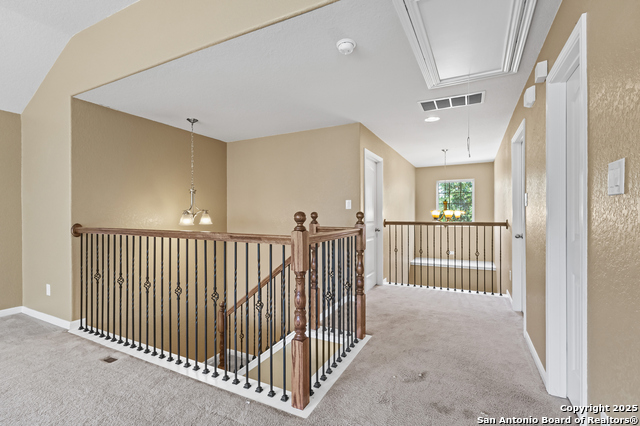 11331 Phoebe Lace Property Photo 14