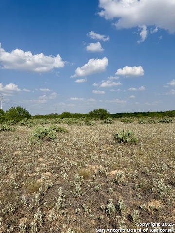 Tbd E Cr 1647 Property Photo 4