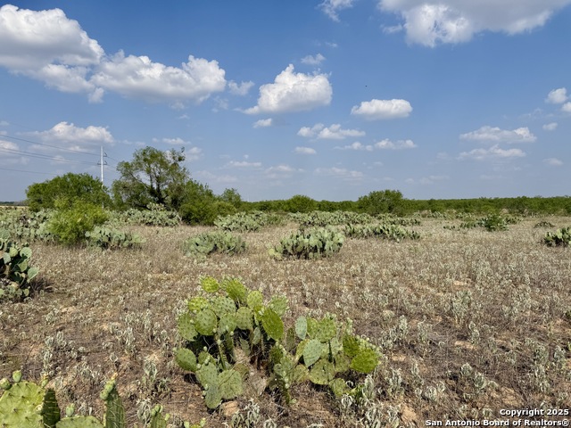 Tbd E Cr 1647 Property Photo 7