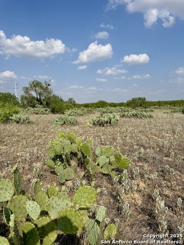 Tbd E Cr 1647 Property Photo 8