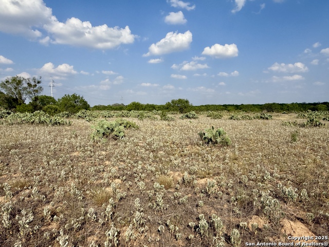 Tbd E Cr 1647 Property Photo 11