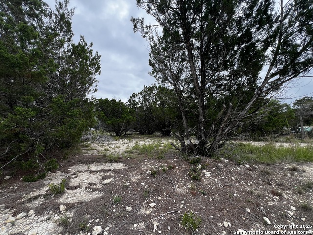Lots 108 & 109 Old Castroville Property Photo