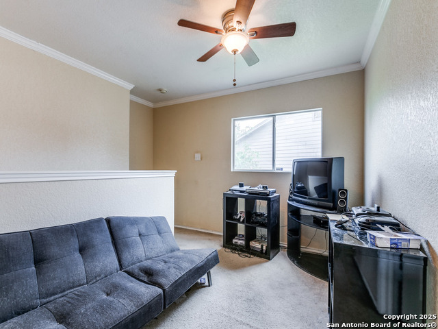 4622 Stallion Cove Property Photo 14