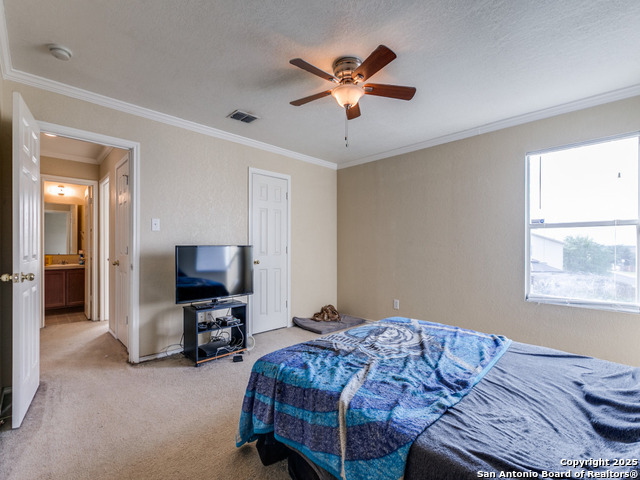 4622 Stallion Cove Property Photo 15