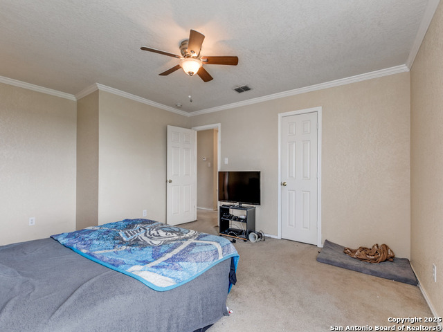 4622 Stallion Cove Property Photo 16