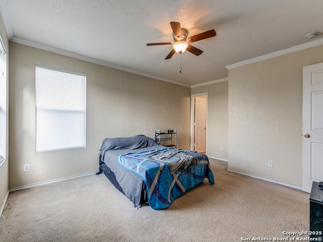 4622 Stallion Cove Property Photo 17