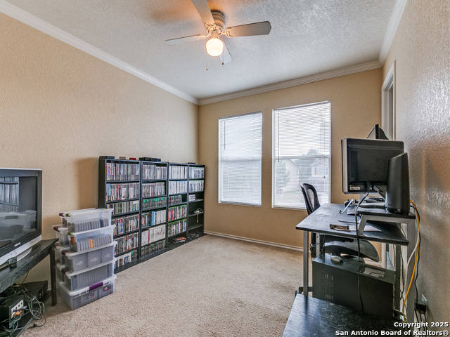 4622 Stallion Cove Property Photo 20