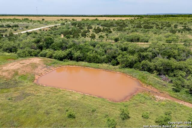 Tbd County Road 174 Property Photo 19