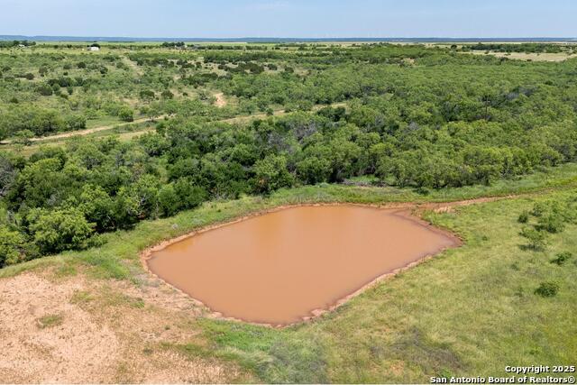 Tbd County Road 174 Property Photo 20