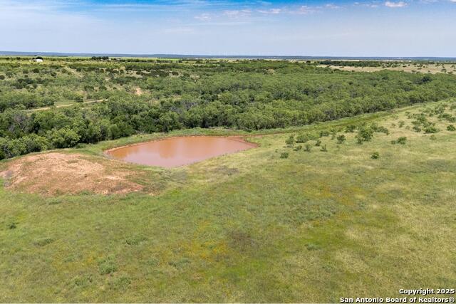 Tbd County Road 174 Property Photo 24