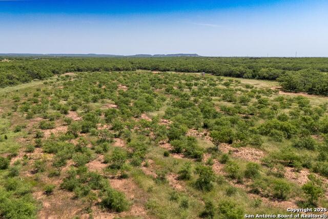 Tbd County Road 174 Property Photo 39