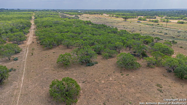 3922 Fm 2579 Property Photo 31