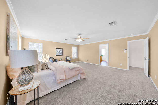 11502 Windwalk Property Photo 36