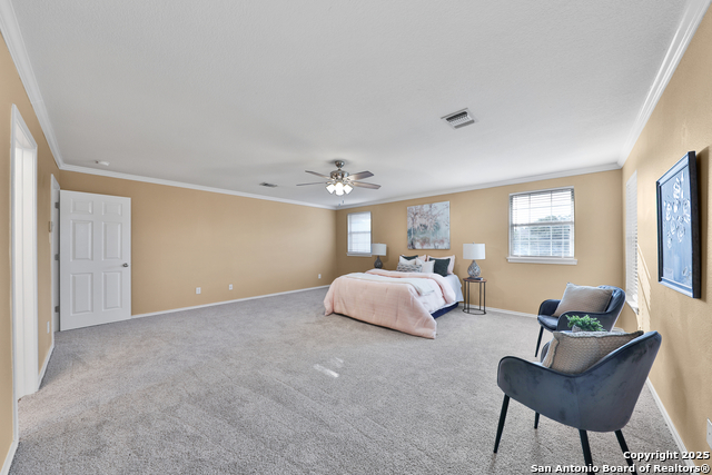 11502 Windwalk Property Photo 37