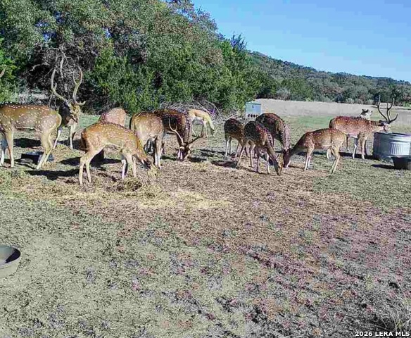 5430 Cr-111 Property Photo 2