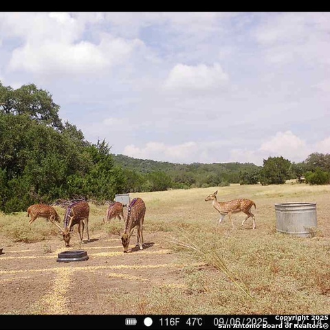 5430 Cr-111 Property Photo 9