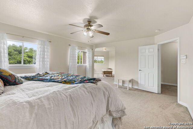 25002 Cooper Vly Property Photo 24