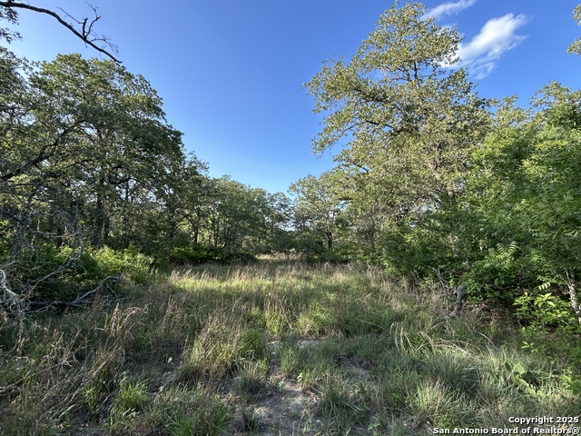 175 Smith Property Photo 1