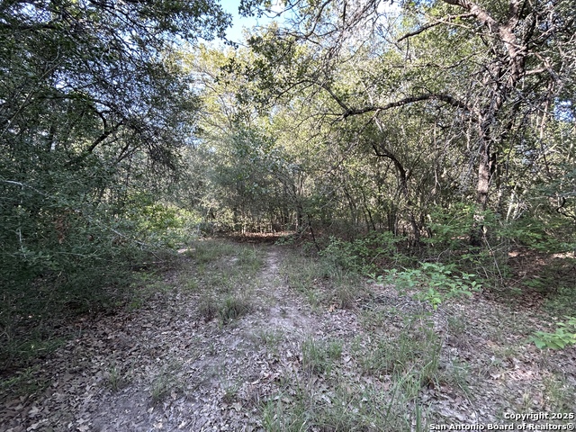175 Smith Property Photo 2