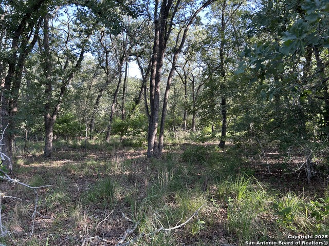 175 Smith Property Photo 3