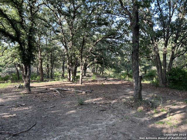 175 Smith Property Photo 4