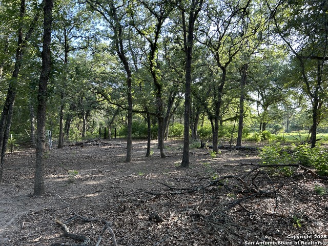 175 Smith Property Photo 5