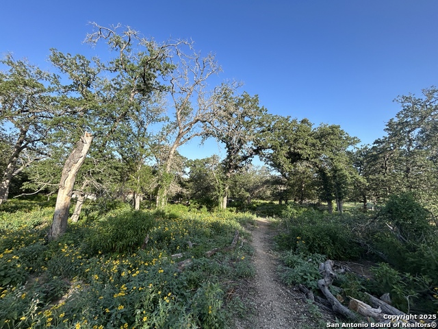 175 Smith Property Photo 7