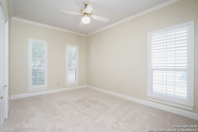 43 Longsford Property Photo 22