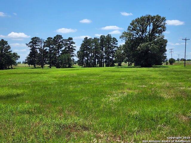 Lot 15 Three Lakes Ranch Property Photo 1