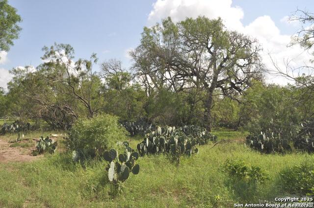 Tbd Cr 662 Property Photo 1