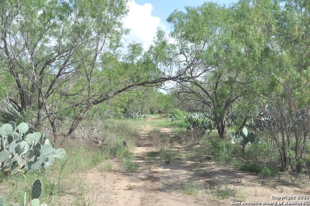 Tbd Cr 662 Property Photo 2
