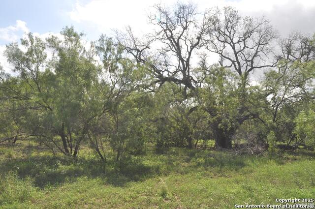 Tbd Cr 662 Property Photo 5